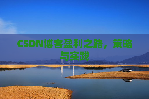 CSDN博客盈利之路,策略与实践